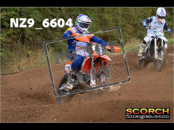 Experts-309