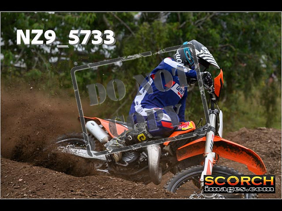 Experts-203