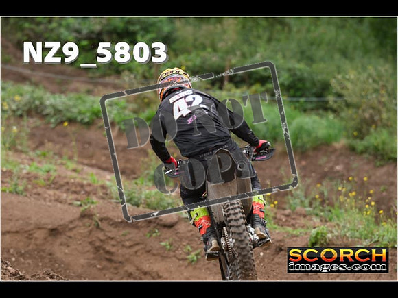 Experts-270
