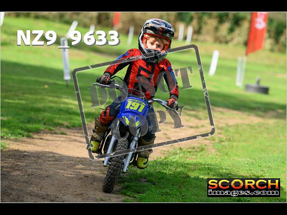 PeeWee Track-02
