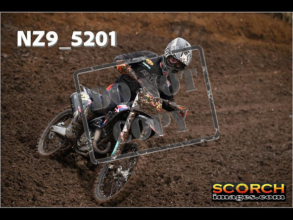 Experts-065