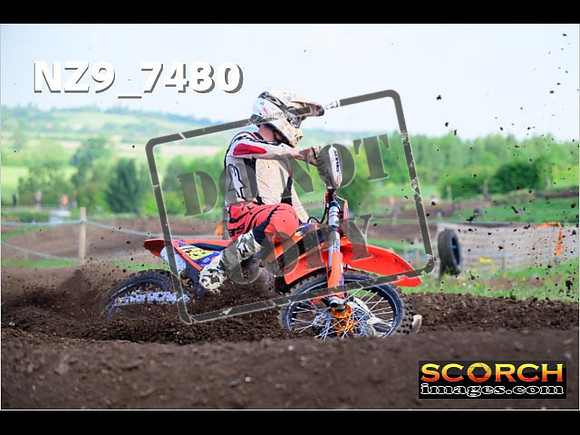 Experts-120