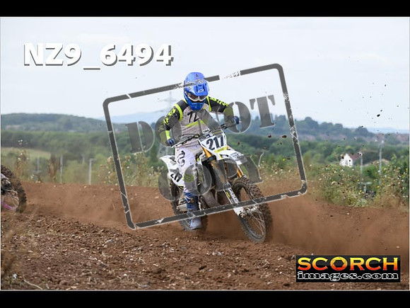 Experts-206