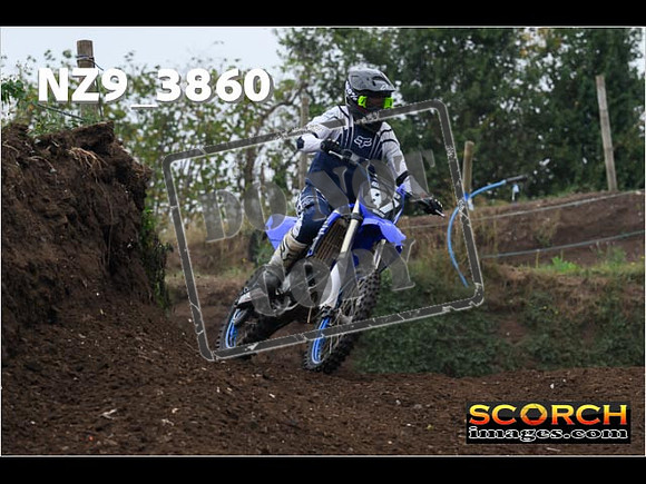 Experts-129