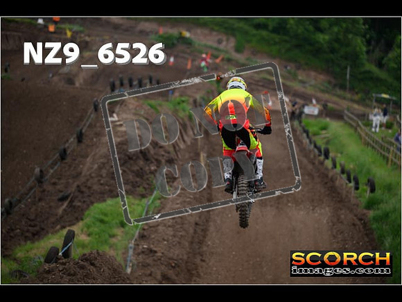 Experts-333