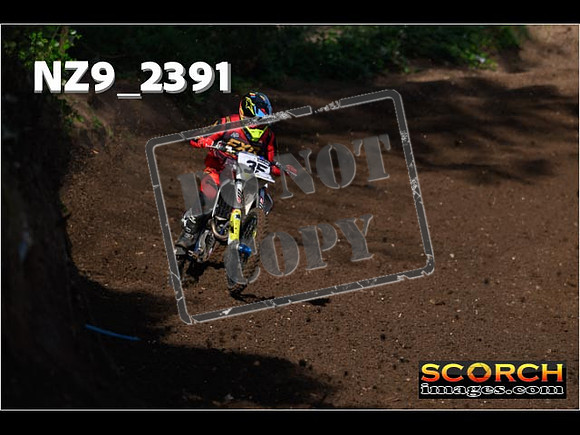 Experts-048