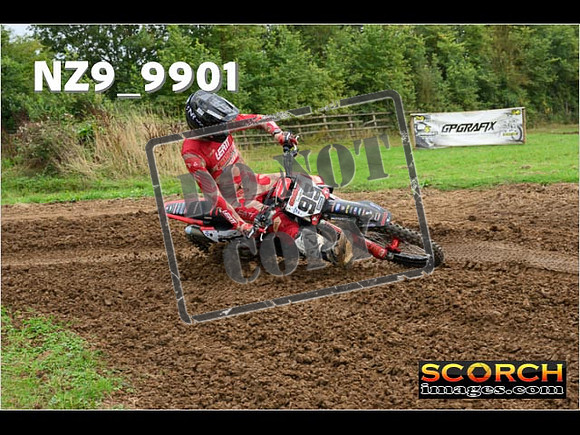 Experts-126