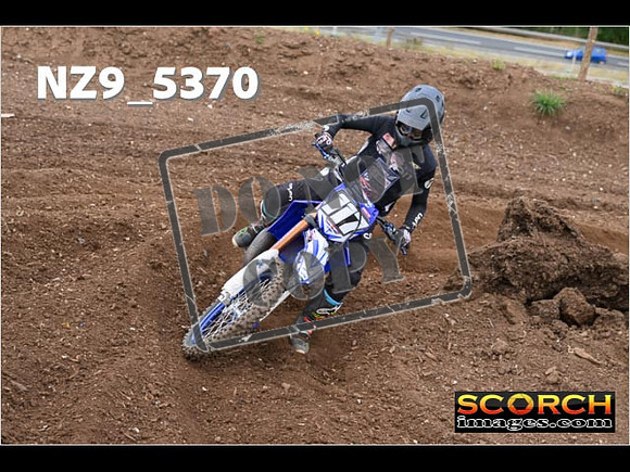 Experts-146