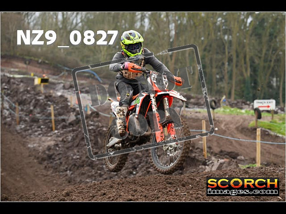 IntersGreenOrange-119