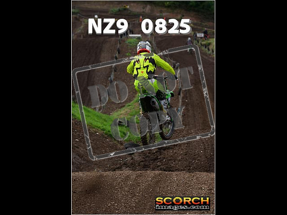 Experts-093