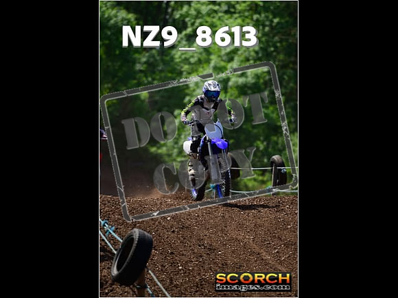 IntersGreenOrange-279