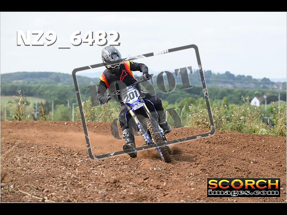 Experts-195