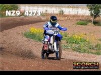 Experts-010