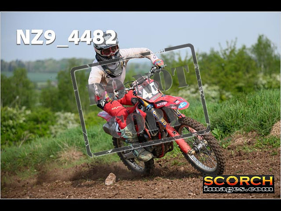 Experts-043