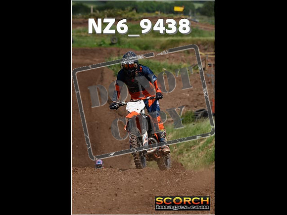 Experts-203
