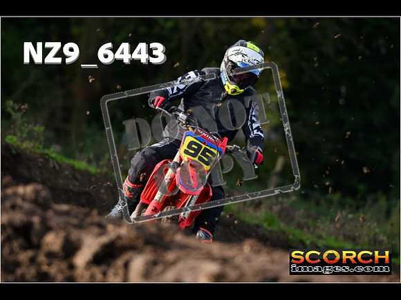 Experts-058