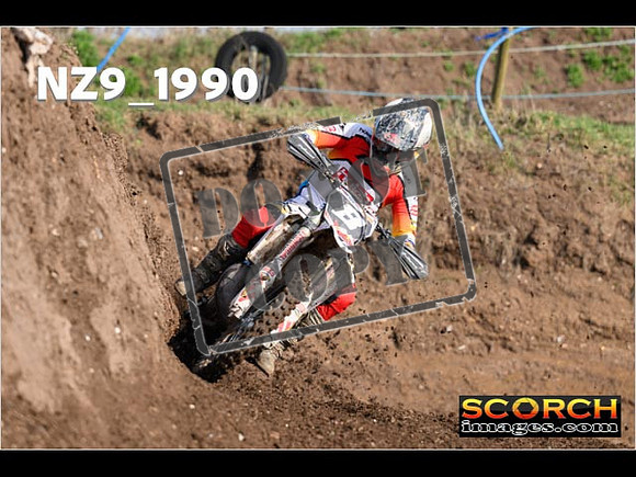 Experts-102