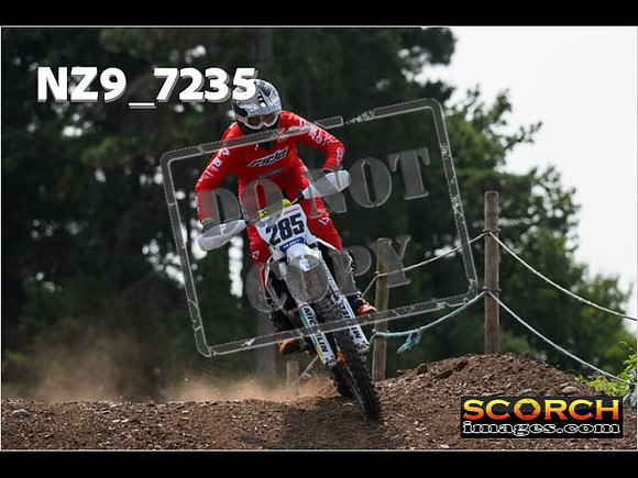 Inters Green-230