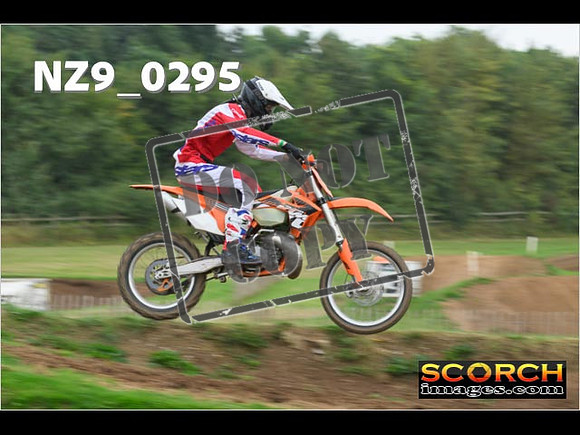 Novice-266