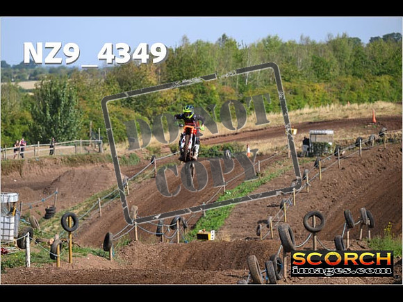 Experts-081