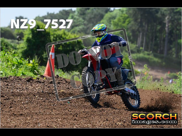 Inters Green Orange-054