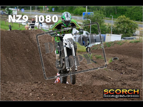 IntersGreen-095