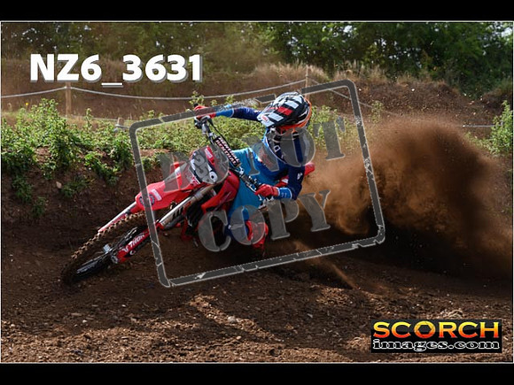 Experts-057