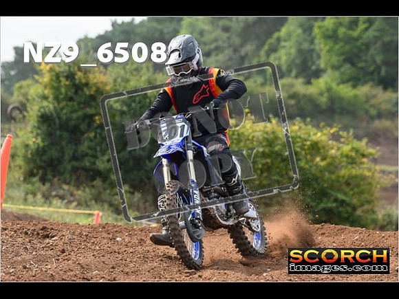 Experts-217