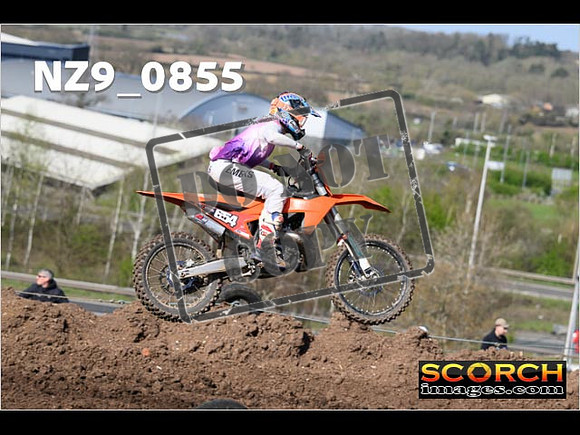 Experts-040