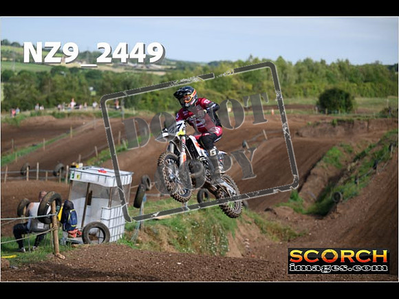 Experts-106