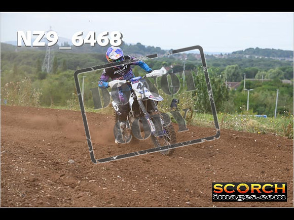 Experts-181