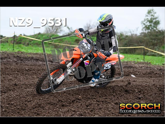 IntersGreen-072