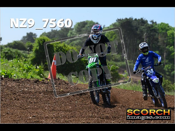Inters Green Orange-086