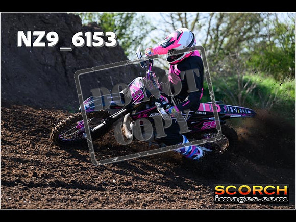 Experts-068