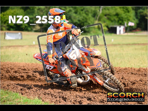 Experts-120