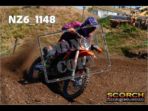 Experts-117