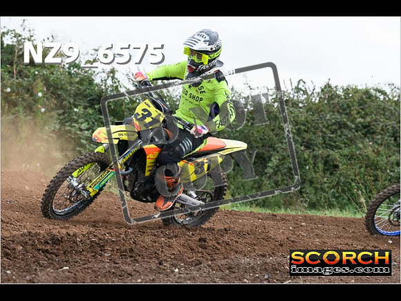 Experts-284