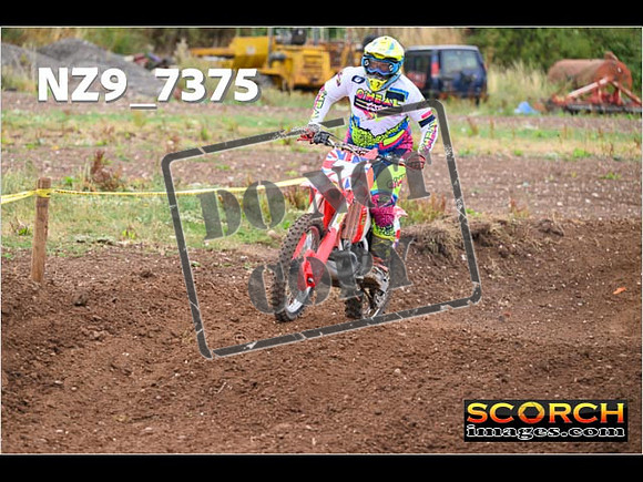 Red- Over 60-259