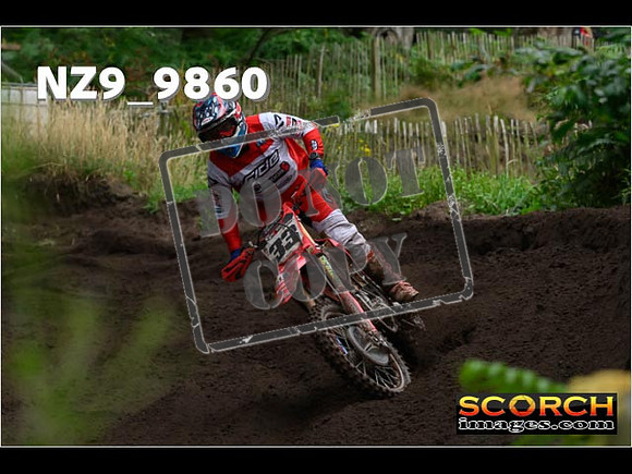 MX1-399