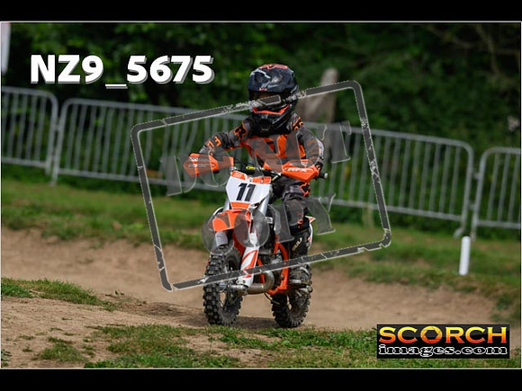 PeeWee Track-056