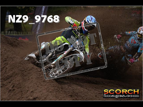 MX1-319