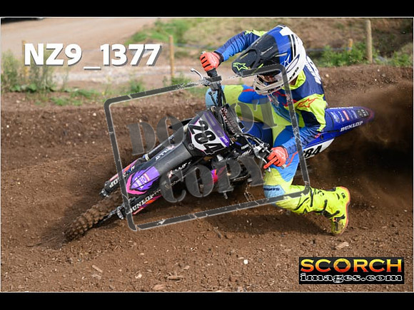 Experts-082