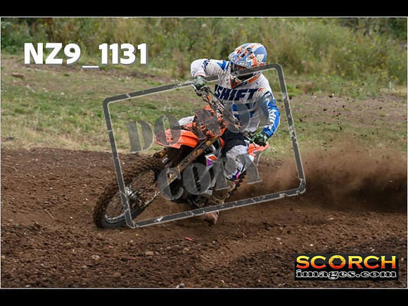 Experts-081