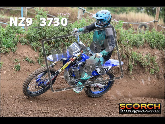 IntersGreenOrange-095