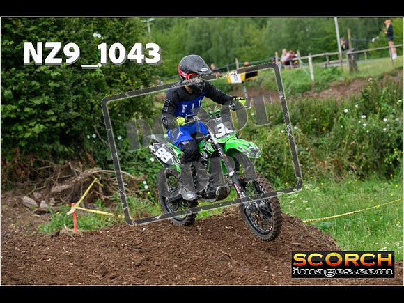 IntersGreen-058