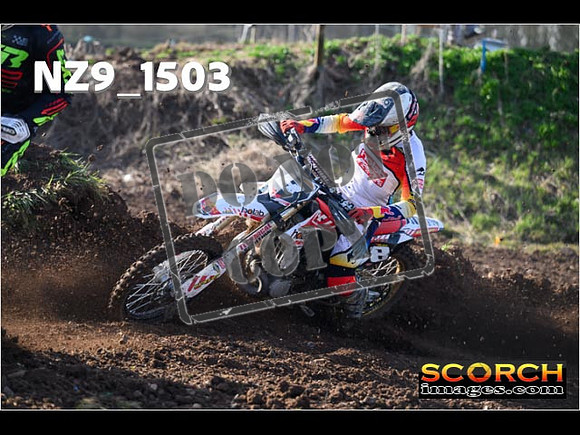 Experts-047